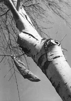 Maco IR820 100ASA Infrarot