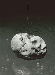 Steter Tropfen hoehlt den Stein