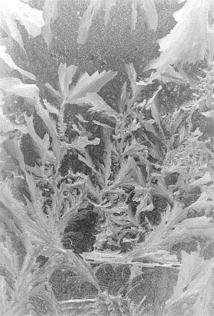 eismeergros.jpg (49217 Byte)