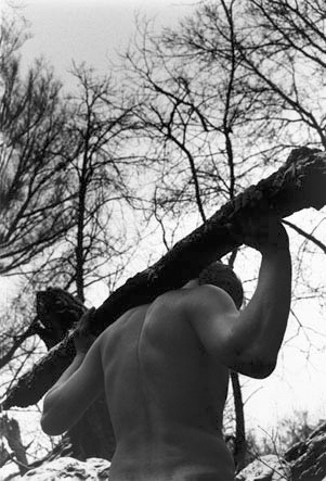 stammhaltergros.jpg (48554 Byte)