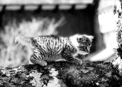 Copyright: Natascha Auenhammer