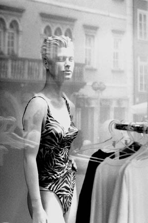 Copyright: Natascha Auenhammer