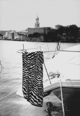 Copyright: Natscha Auenhammer