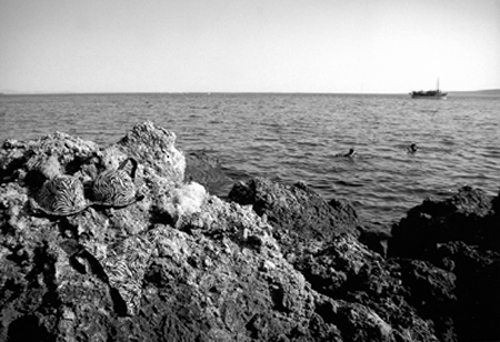 Copyright: Natascha Auenhammer