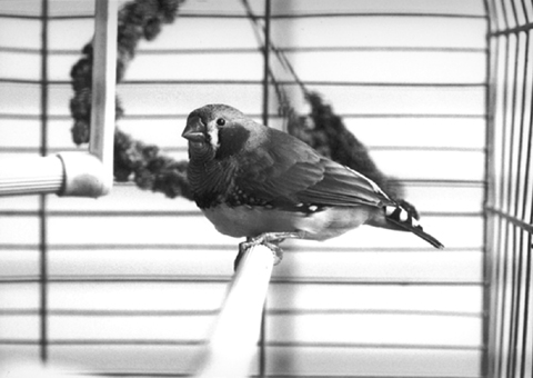 Copyright Natascha Auenhammer